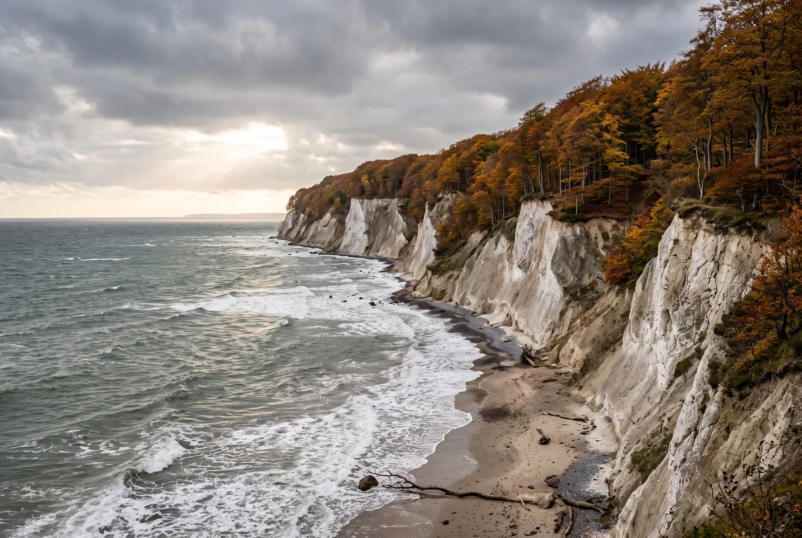 Herbstlich gefärbter Buchenwald über heller Steilküste an der Ostsee