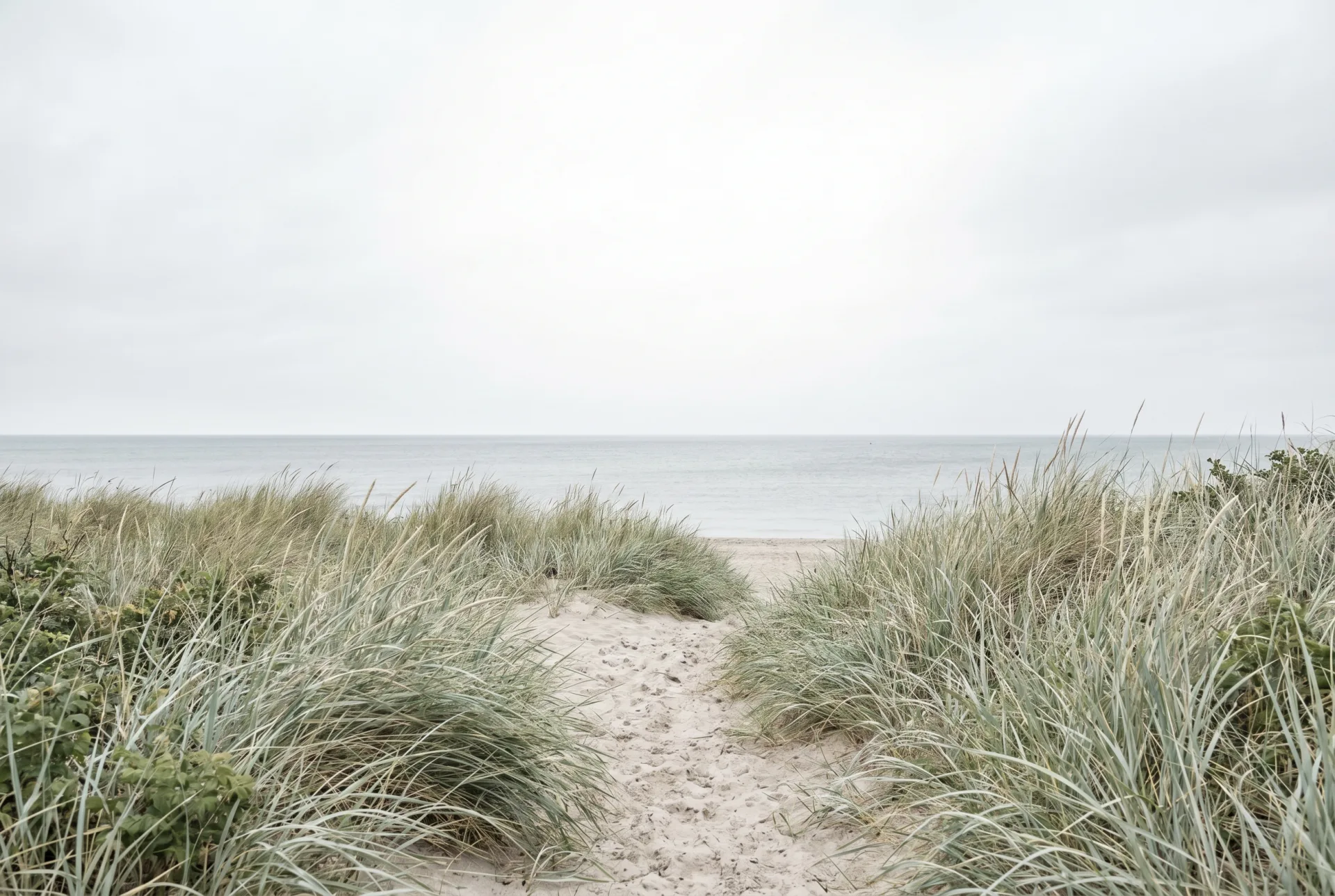 Spazierweg entlang der Küste mit Blick aufs Meer