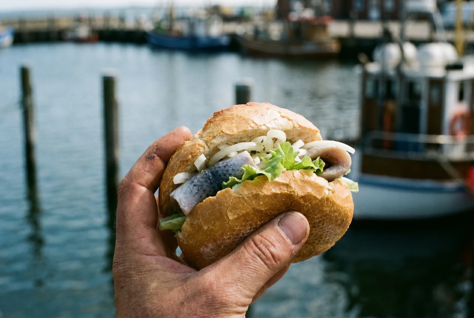Fischbrötchen am Hafen